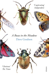 Book cover of A Buzz in the Meadow by Dave Goulson