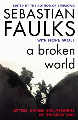 Book cover of A Broken World
