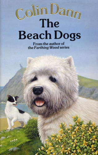 Book cover of The Beach Dogs by Colin Dann