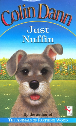 Book cover of Just Nuffin by Colin Dann