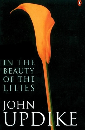 Book cover of In the Beauty of the Lilies by John Updike