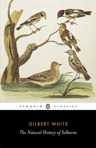 Book cover of The Natural History of Selborne by Gilbert White