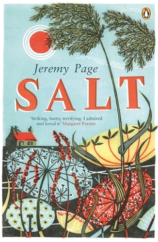 Book cover of Salt by Jeremy Page
