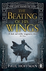 Book cover of The Beating of his Wings by Paul Hoffman