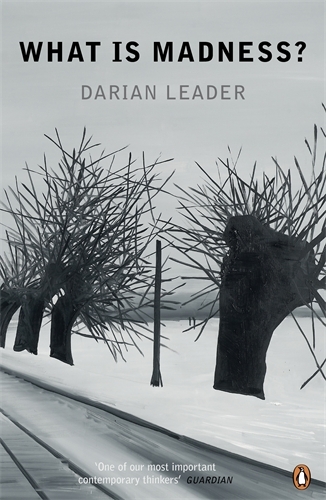 Book cover of What is Madness? by Darian Leader