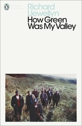 Book cover of How Green Was My Valley by Richard Llewellyn