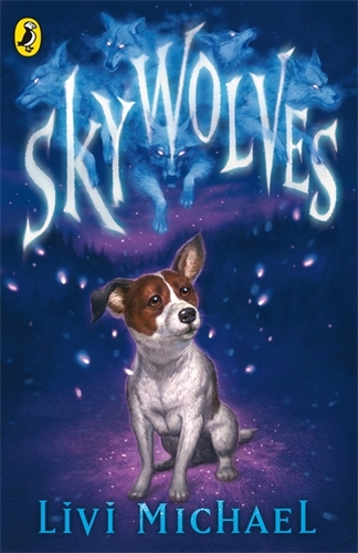 Book cover of Sky Wolves by Livi Michael