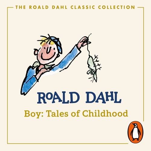 Book cover of Boy by Roald Dahl