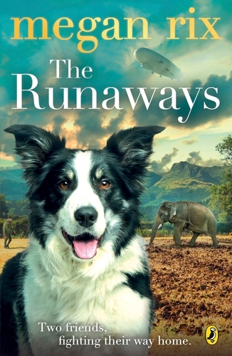Book cover of The Runaways by Megan Rix