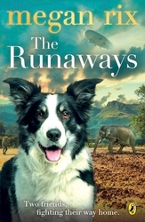 Book cover of The Runaways by Megan Rix