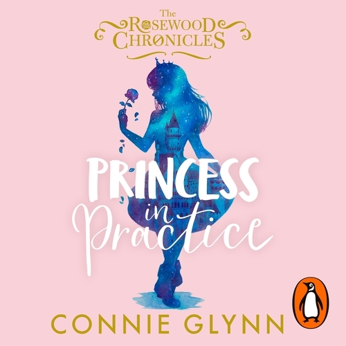 Book cover of Princess in Practice by Connie Glynn