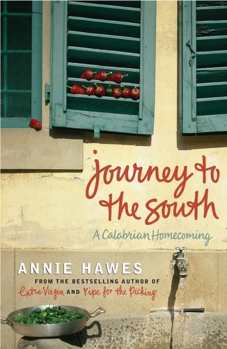 Book cover of Journey to the South by Annie Hawes