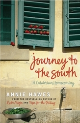 Book cover of Journey to the South by Annie Hawes