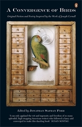 Book cover of A Convergence of Birds