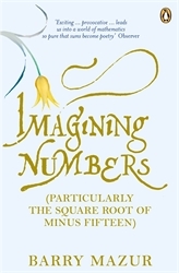 Book cover of Imagining Numbers by Barry Mazur