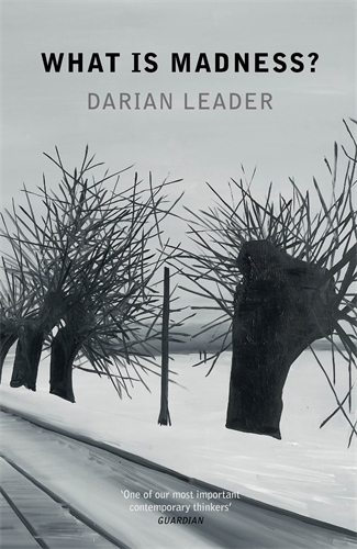 Book cover of What is Madness? by Darian Leader