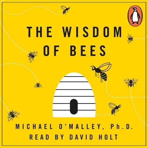Book cover of The Wisdom of Bees by Michael O'Malley