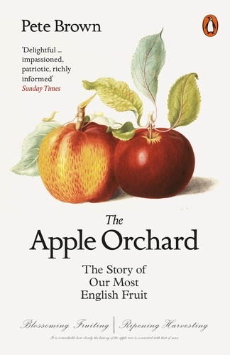 Book cover of The Apple Orchard by Pete Brown