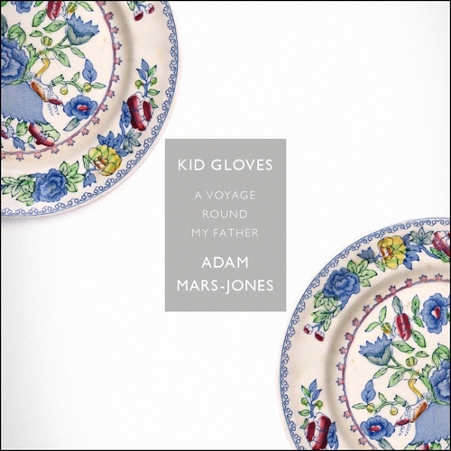 Book cover of Kid Gloves by Adam Mars-Jones