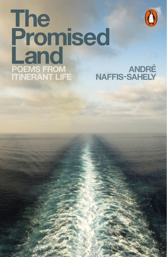 Book cover of The Promised Land by André Naffis-Sahely