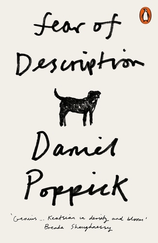 Book cover of Fear of Description by Daniel Poppick