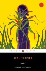Book cover of Cane by Jean Toomer