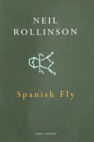 Book cover of Spanish Fly by Neil Rollinson