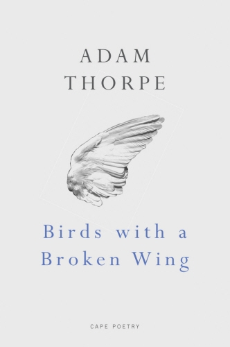Book cover of Birds With A Broken Wing by Adam Thorpe