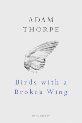 Book cover of Birds With A Broken Wing by Adam Thorpe