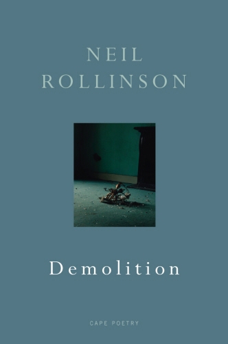Book cover of Demolition by Neil Rollinson