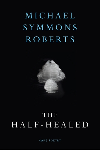 Book cover of The Half Healed by Michael Symmons Roberts