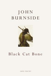 Book cover of Black Cat Bone by John Burnside