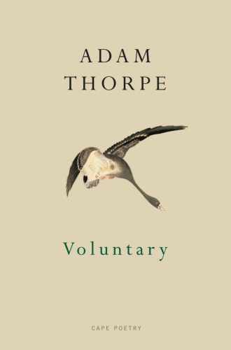 Book cover of Voluntary by Adam Thorpe