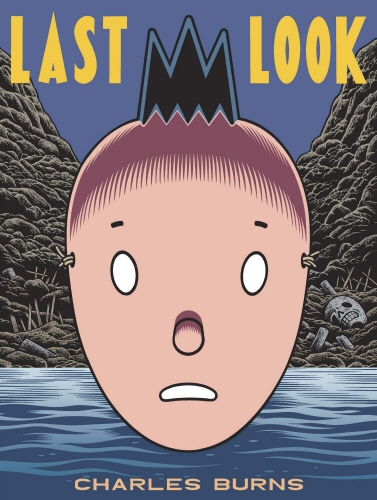 Book cover of Last Look by Charles Burns