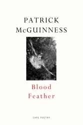 Book cover of Blood Feather by Patrick McGuinness