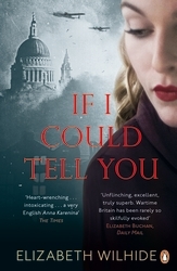 Book cover of If I Could Tell You by Elizabeth Wilhide