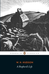 Book cover of A Shepherd's Life by W. H. Hudson