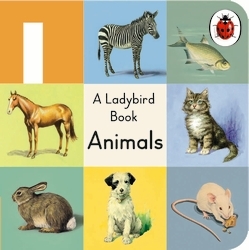 Book cover of A Ladybird Buggy Book: Animals