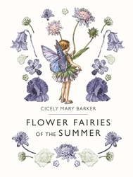 Book cover of Flower Fairies of the Summer by Cicely Mary Barker