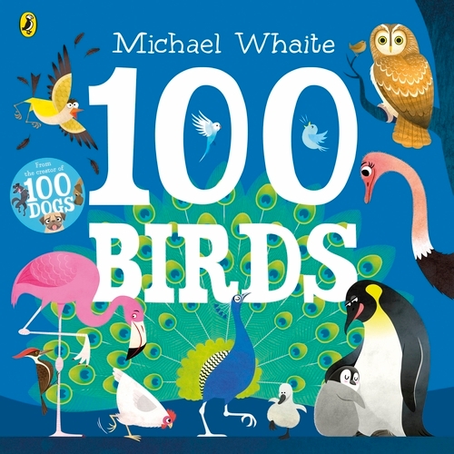 Book cover of 100 Birds by Michael Whaite