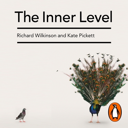 Book cover of The Inner Level by Richard Wilkinson, Kate Pickett
