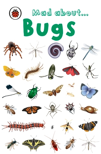 Book cover of Mad About Bugs by Ladybird