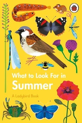 Book cover of What to Look For in Summer by Elizabeth Jenner