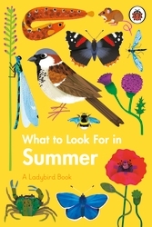 Book cover of What to Look For in Summer by Elizabeth Jenner
