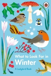Book cover of What to Look For in Winter by Elizabeth Jenner