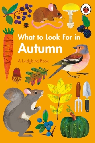 Book cover of What to Look For in Autumn by Elizabeth Jenner