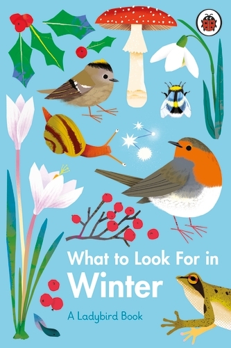 Book cover of What to Look For in Winter by Elizabeth Jenner