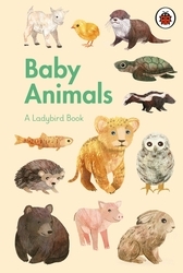 Book cover of A Ladybird Book: Baby Animals