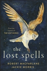 Book cover of The Lost Spells by Robert Macfarlane, Jackie Morris