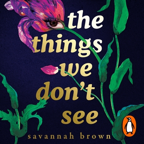 Book cover of The Things We Don't See by Savannah Brown